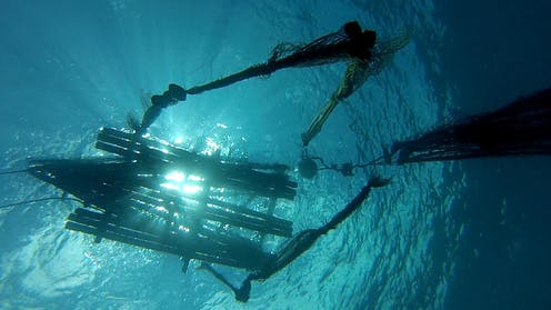 file-20190930-194862-pq890w