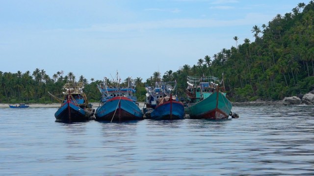 Fishing boats